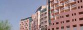 Demo Image